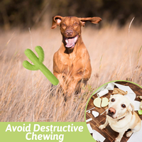 Jouets à mâcher interactifs pour chiens Cactus en caoutchouc Durable pour mâcheurs agressifs Petit/moyen chien formation dents nettoyage Carton
