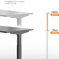 Bureau d'ordinateur électrique intelligent et moderne à hauteur réglable, table mobile pour la maison et l'étude, style panneau en bois de bouleau et fer, bureaux de style bureau