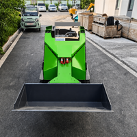Chargeur compact T390 pour serres et vergers, mini-chargeuse sur chenilles en caoutchouc, capacité de charge nominale de 250 kg, EPA Euro5, utilisation facile