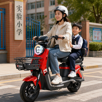 Nouveau vélo électrique à deux roues pour adultes, norme nationale - Approvisionnement transfrontalier direct d'usine