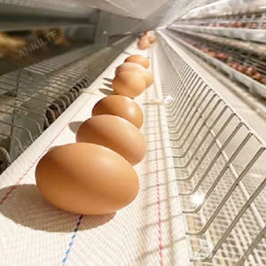 Annilte Gevogelte Polypropyleen Kippenei Collectie Riem Eierriem Voor Kippenboerderij - Product Image 5