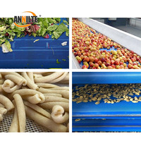 FDA-goedgekeurde polyester droogband met vierkante gaten voor het drogen van fruit en groenten |   Aangepaste breedte met verbinding