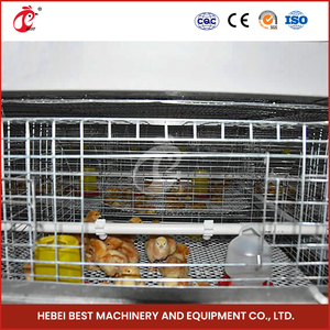 Cage à poulet entièrement automatique de type h avec couveuse de poussins de 20000 couches - Product Image 3