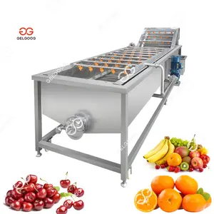 Hot Sale Citrus Washing Drying Waxing Grading Machine Cherry Spray Air Bubble Berries Pomegranate Washing Machine