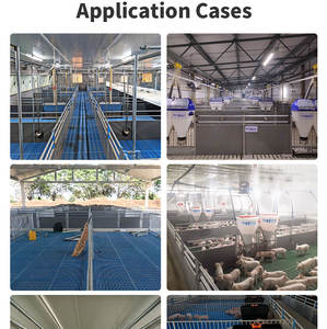 Panel de PVC de la Marca China Hengyin para Cría de Cerdos, Alta Calidad, Resistente a la Corrosión, Impermeable, Color Personalizado, 24 Horas - Product Image 2