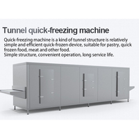 TCA haute qualité automatique frites iqf blast instantané congélateur rapide fluidisé à tunnel machine individuellement congelé