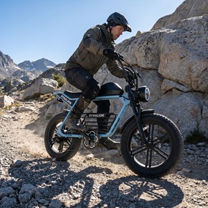 <span class=keywords><strong>Vélo</strong></span> électrique tout-terrain à gros pneus avec porte-bagages arrière, <span class=keywords><strong>vélo</strong></span> électrique pour le camping et les activités de loisirs en plein air - Product Image 4