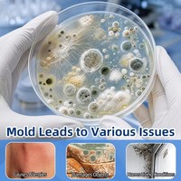 Kit de détection de moisissures DuanfengHome pour l'intérieur, pour les sous-sols et les salles de bain, détection précoce pour améliorer la qualité de l'air et protéger la santé pulmonaire