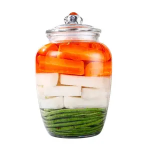 Popular New Product Kimchi Drink Canning Can Ginseng Medicated Wine Bottle Clear Glass Bottle