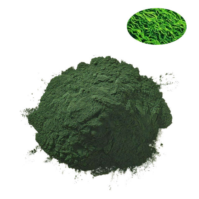 OEM ODM Hot Selling Antioxidant Spirulina