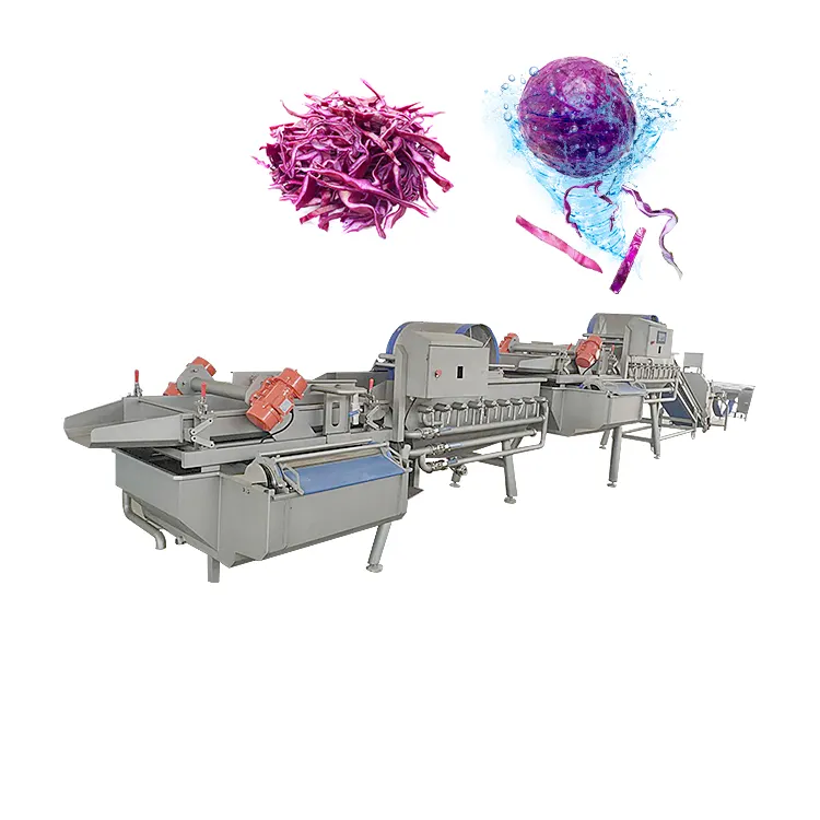 Vortex Type Leaf Vegetable Washing Machine 1000kg/h Salad Vegetable Cutting And Drying production Line