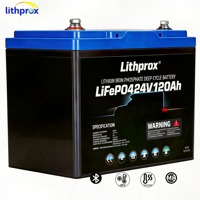 Batterie de chariot élévateur 24V 120AH au lithium fer phosphate à charge rapide pour chariot élévateur CE RoHS IP67 Fabricant OEM ODM Haute Performance