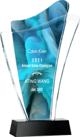 Trofeo Deportivo de Forma Irregular con Doble Cristal y Impresión a Color Personalizada, Premio de Honor Individual