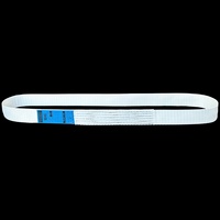 7:1 50mm 1500kg Beyaz Polyester Sonsuz Askı Kaldırma Kayışı Tek Yönlü Askı Kayışı TUV GS CE, ISO9001 Sertifikalı