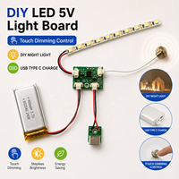 Kit de module LED DIY 5V avec bande LED pour veilleuse DIY, contrôle tactile de la luminosité, rechargeable par USB Type C