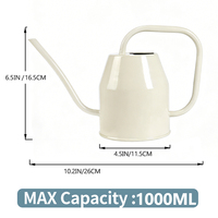 Arrosoir vintage en acier de 1000 ml, petit format, pour intérieur et extérieur, avec vaporisateur de 360 ml, durable, pour plantes d'intérieur, succulentes, cactus