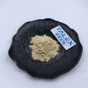 Rennet Halal Food Grade 20000U/G <b>Cheese</b> Rennet From Papaya Chymosin <b>Powder</b> - Product Image 4