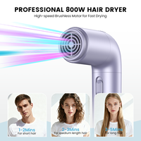 Nouveau Design Sèche-cheveux Ionique Portable 2026 Haute Puissance pour Animaux Domestiques, Sèche-cheveux Professionnel à Ions Négatifs Haute Vitesse