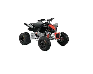 拍卖正品门到门运输2022 Can-Am DS 90