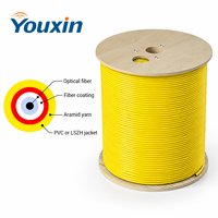 Câble à fibre optique avec gaine extérieure en PVC, câble à fibre optique intérieur pour les acheteurs de réseaux de télécommunications mondiaux