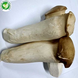 Frozen IQF King Huître Champignon Blanc Pleurotus <span class=keywords><strong>Eryngii</strong></span> Tranches En Vrac Organique Congélation Sain Naturel En Gros - Product Image 6