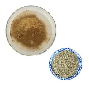 Wholesale 10:1 Fennel Verum Seeds Extract Fennel Seed Extract Powder Fennel Extract Powder