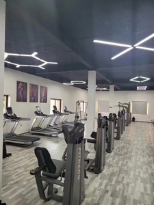 AN46 Máquina de <span class=keywords><strong>Curl</strong></span> de Bíceps MND Fitness, Equipo Deportivo para Ejercicios de Piernas, Brazos, Pecho y Espalda, Seguro, de Alta Resistencia, para Fisicoculturismo, Minolta - Product Image 5