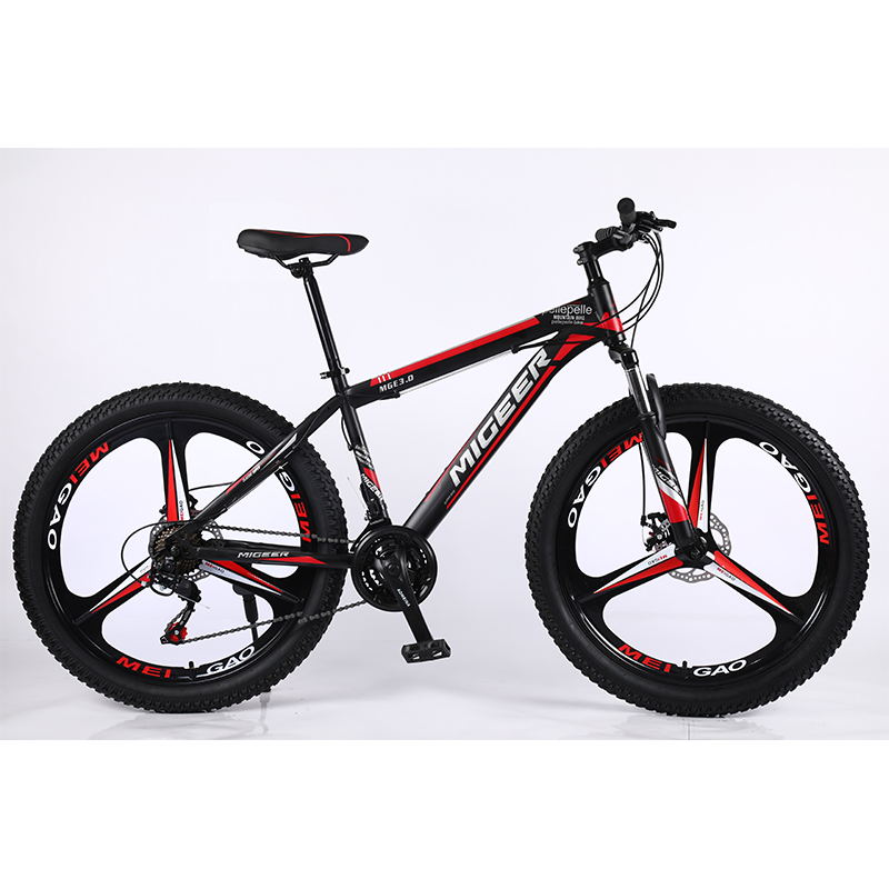 どんな地形も制覇。プレミアムな中国から自転車を輸入する性能。