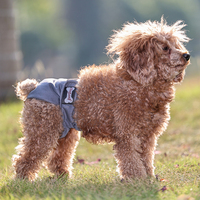 Couche pour chien haute technologie en graphène, super douce, réglable, respirante, réutilisable et lavable, pour mâle, accessoire vestimentaire pour animaux de compagnie