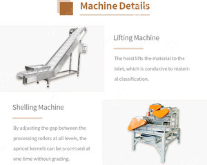 Gelgoog <span class=keywords><strong>Abricot</strong></span> Kernel Cracking Cracker Machine à éplucher les amandes/noisettes Ligne décortiqueuse - Product Image 5