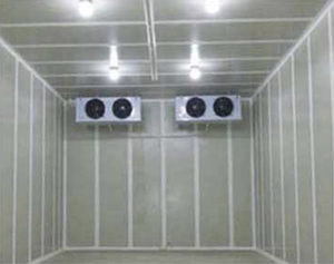 Offre Spéciale mini congélateur solaire pour chambre froide Chambre Froide Food Freezer Room container 20 pieds Cold Storage Chiller Room à vendre - Product Image 3