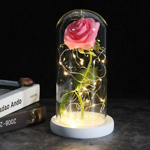 Productos para Dropshipping, Regalo de San Valentín 2026, Rosa Eterna con Luz LED, Flor Luminosa Decorativa, Agente de Dropshipping - Product Image 4
