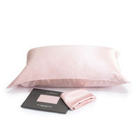 Nouvelle Offre 2026 : Taie d'oreiller de voyage en microfibre de soie premium 19mm avec fermeture éclair