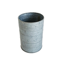 Vente en gros Offre Spéciale pot en fer argenté vintage pot de stockage de pot de bougie de café et de thé
