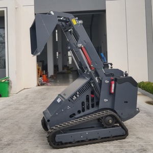 Miễn phí vận chuyển Mini Skid chỉ đạo Bộ nạp Crawler SNOW-Cleaning thiết bị 1 tấn thủy lực DIESEL Skid chỉ đạo Bộ nạp với theo dõi - Product Image 2