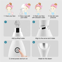 Vaporisateur Facial professionnel électrique, personnalisé, Spa, équipement de beauté Nano, ensemble de vaporisateur, Mini vaporisateur Portable pour le visage