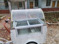 Chariot alimentaire hot dog voiture de jus camion de glace remorque alimentaire personnalisée chariot de nourriture mobile conception e vélo