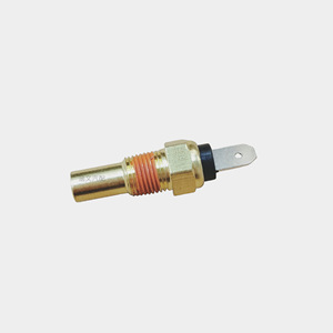 Sensor de Temperatura 25080-ET001 NPT1/8 de Inserción Única con Terminal de Soldadura de 10MM para Tanque de Agua - Product Image 4