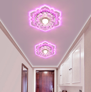 Creatieve plafondlampen Gangpadverlichting Decoratief ontwerp Woonkamer Bloemarmaturen Acryl Moderne inkomhalverlichting voor thuis - Product Image 6