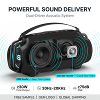 Enceinte portable sans fil SOWO X30 30W RMS True Stereo, étanche IP66, avec batterie externe et lumière RGB, lanterne de camping, Bluetooth