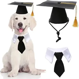 หมวกเนคไทสีเหลืองสำหรับสุนัขจบการศึกษาเครื่องประดับวันหยุด