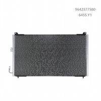 Suku Cadang Pendingin Otomatis Kondensor AC 6455.Y1 6453.AS 9637416580 6455Y9 untuk Kondensor AC Mobil Peugeot