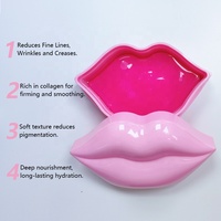 Masque Lèvres Hydratant et Repulpant au Collagène PDRN et Acide Hyaluronique, 20 pièces, Gel Nuit Végétalien, Marque Privée OEM, Logo Personnalisé