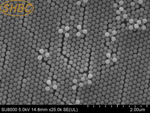 Perles magnétiques fonctionnelles amine, microsphères de polystyrène pour la purification des protéines / acides nucléiques - Product Image 5