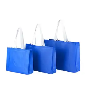 可重复使用的购物袋囊feutre机白纸手带标志设计师化妆层压购物袋离合器礼品集尘袋