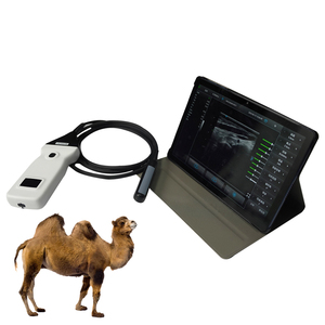<span class=keywords><strong>เครื่อง</strong></span>อัลตราซาวนด์ไร้สายสำหรับสัตว์พร้อมหัวตรวจแบบเส้นตรงสำหรับตรวจการตั้งครรภ์ในโค แกะ แพะ ม้า - Product Image 5
