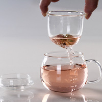 Ensemble tasse et soucoupe en verre écologique de 350 ml (10 oz) avec infuseur amovible pour thé en vrac
