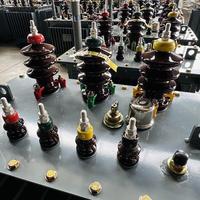 Transformateur de puissance immergé dans l'huile triphasé 480V, 250 kVA, 750 kVA, 1200 kVA, sortie MV&HV