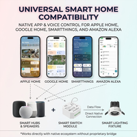 Module d'interrupteur intelligent LED ultra-compact compatible Matter Over Mini Thread pour Apple Home, Google, Alexa, pour éclairage traditionnel et lampes LED