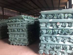 แท่งไม้กวาดไม้ยูคาลิปตัสด้ามไม้สี - Product Image 5